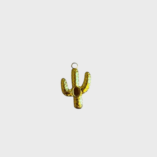 Cactus Charm