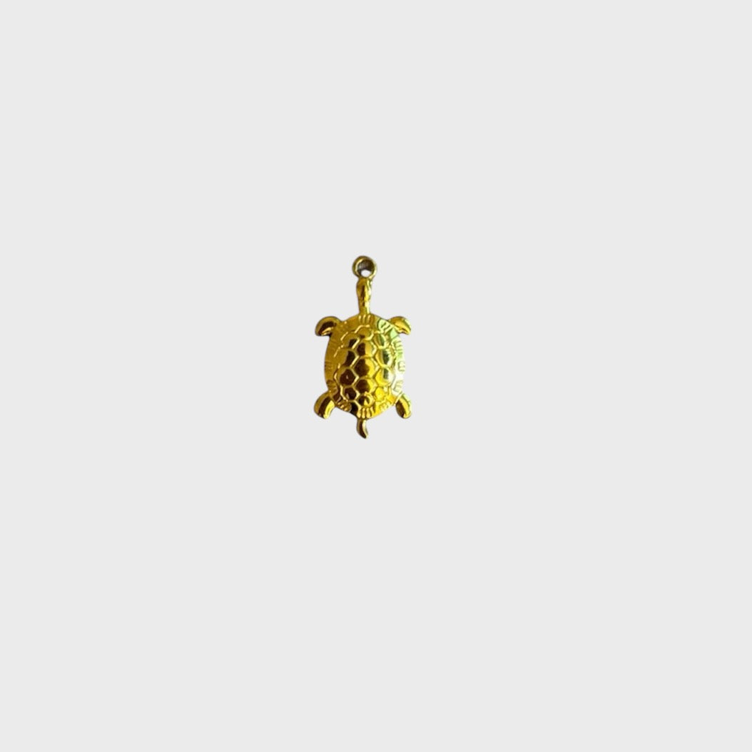 Turtle Charm